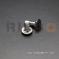 Stainless Steel SS304 SS316 Carriage Bolt